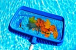 How To Get Leaves Out Of A Swimming Pool