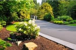 10 Reasons Mulch Glue Is Perfect For Busy Homeowners