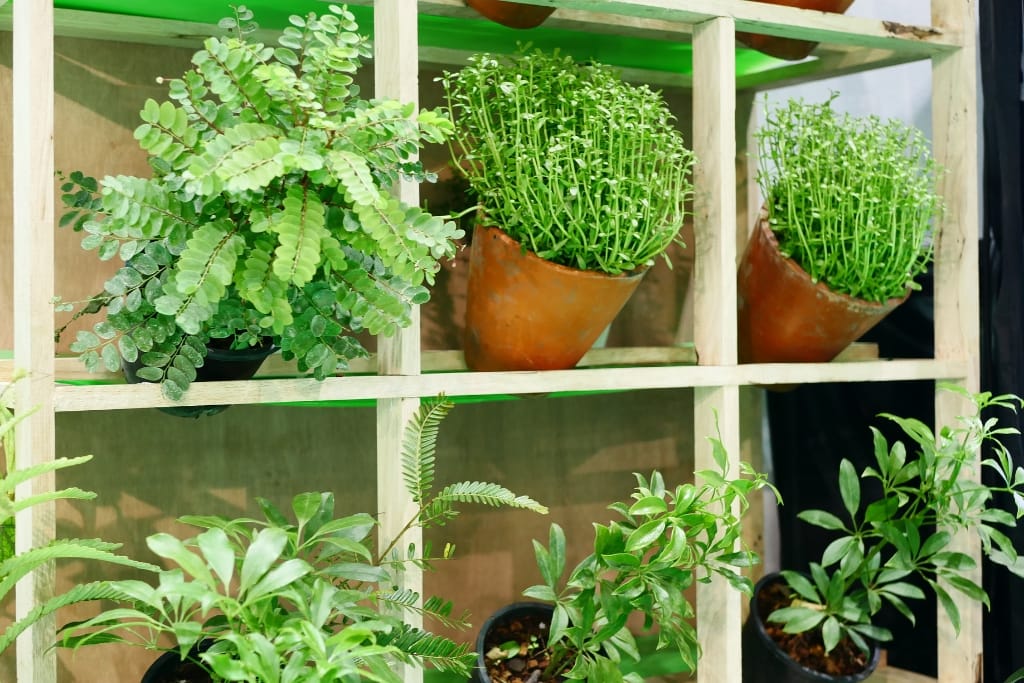 9 Strategies To Help You Get The Most Out Of A Small Garden