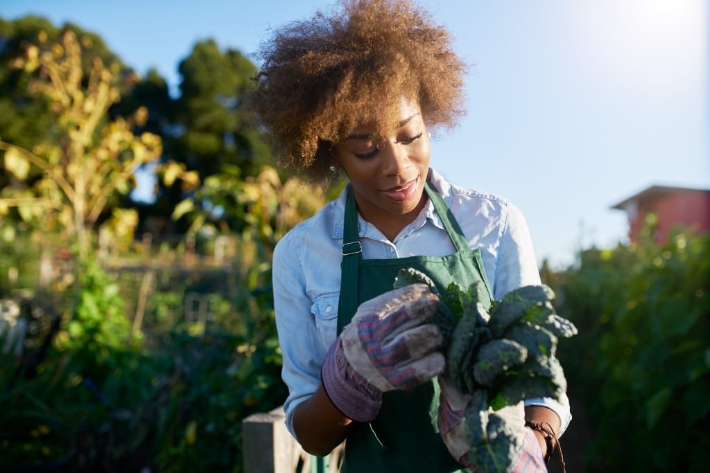 Organic Gardening Tips For Beginners