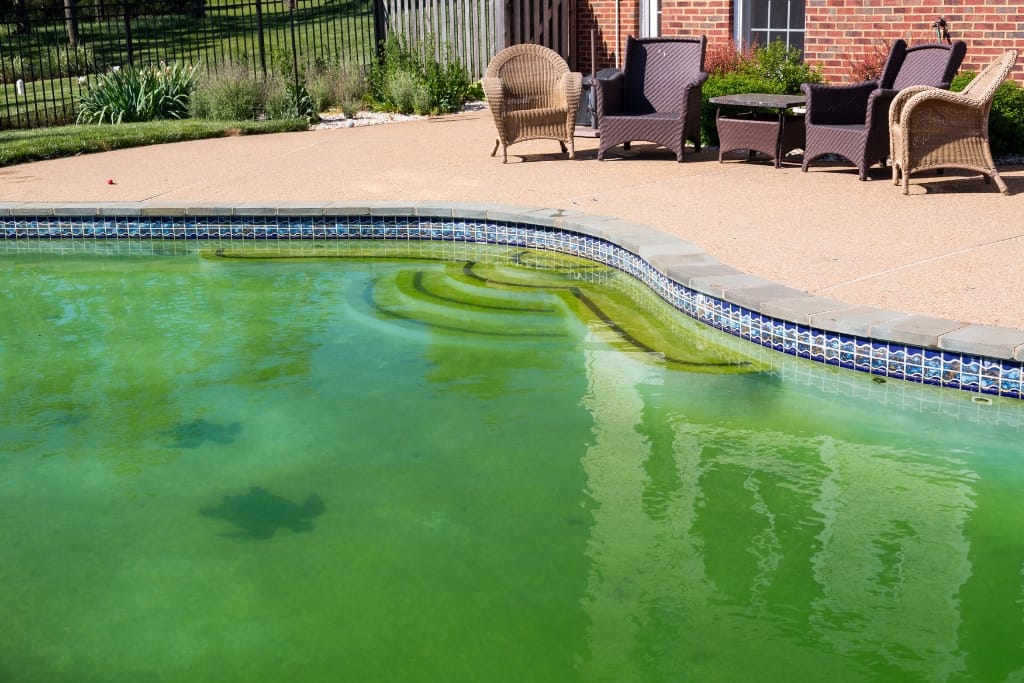 How To Clean A Green Algae Swimming Pool
