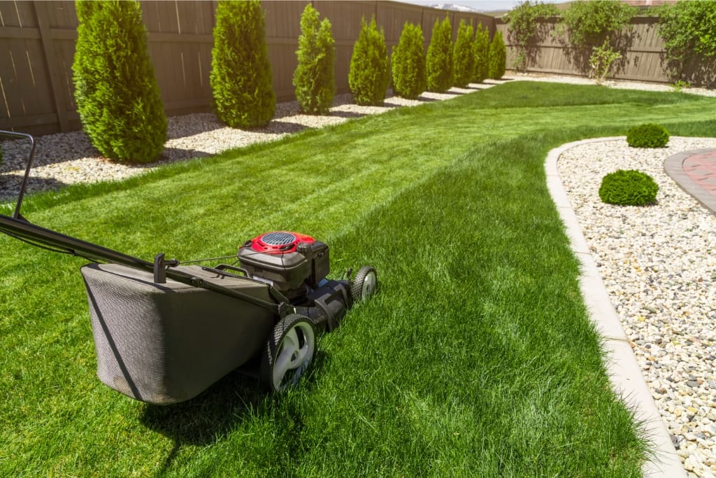 10 FAQs About How To Make Your Lawn Green