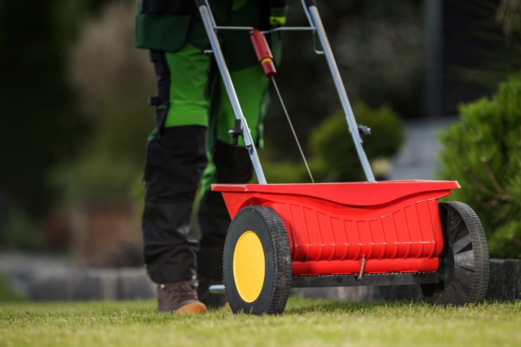 10 Lawn Care Tips For Spring