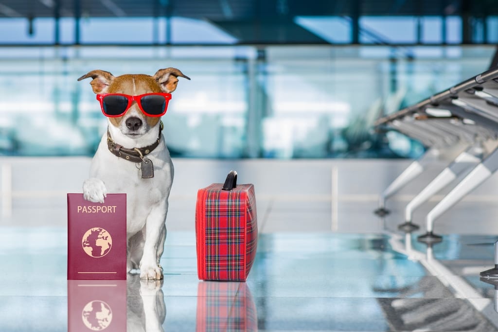 11 Funny Ways To Greet Someone At The Airport Without Breaking The Rules