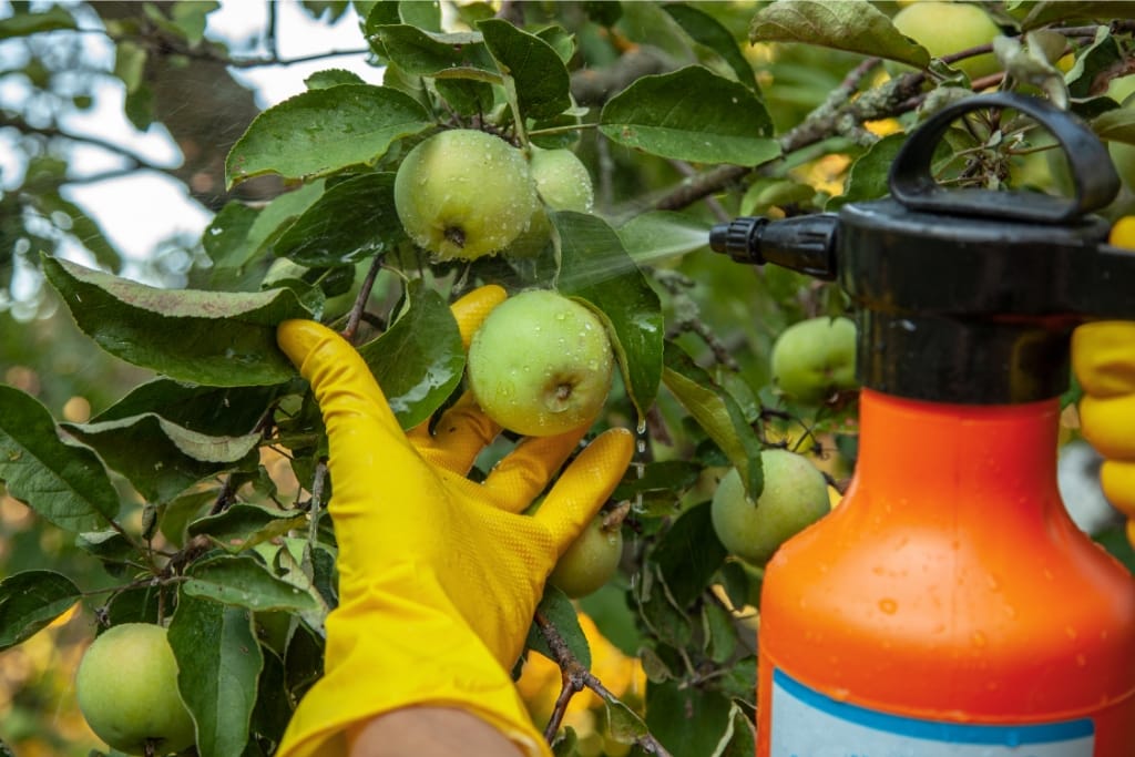10 Natural Ways To Repel Bugs From Fruit Trees For A Healthier Harvest