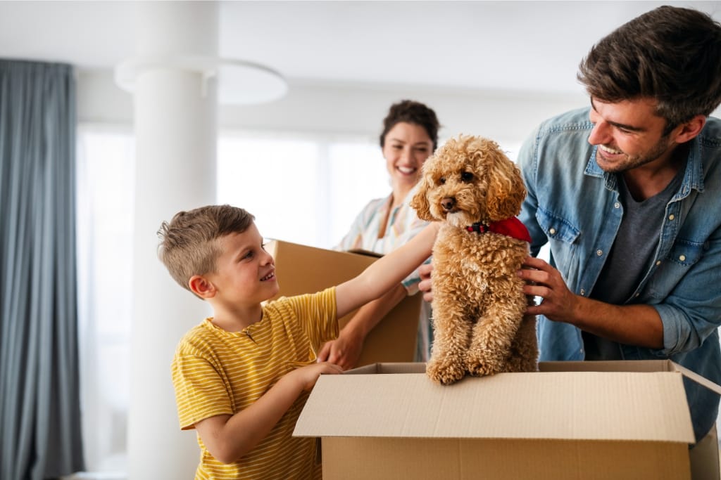 10 Tips For Moving With A Dog To A New Home