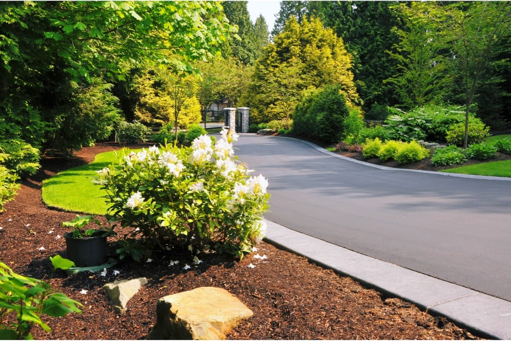 10 Reasons Mulch Glue Is Perfect For Busy Homeowners