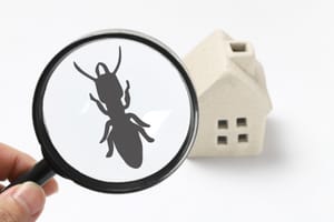 10 Tips To Keep Your Home Pest-Free This Fall