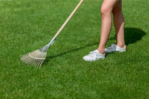 5 Ways To Keep Artificial Grass Looking Great All Year Round