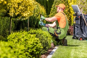 5 Tips For Choosing The Best Landscaper