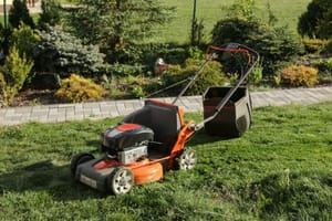Top 20 Lawn Care Tips For Beginners