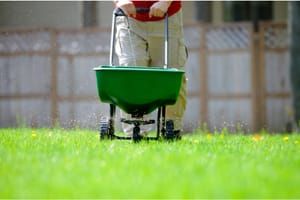 How To Get A Green Lawn Without Weeds