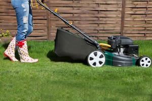 10 Lawn Care Tips For A Thriving Yard