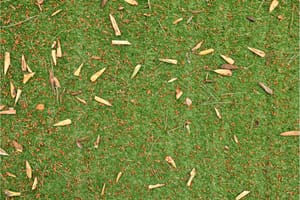 How To Remove Leaves From Artificial Grass