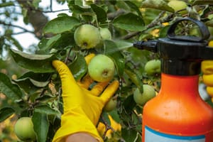 10 Natural Ways To Repel Bugs From Fruit Trees For A Healthier Harvest