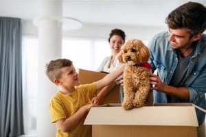 10 Tips For Moving With A Dog To A New Home