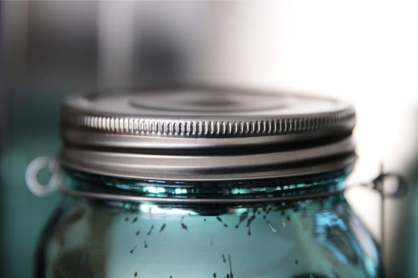11 Ways To Decorate The Top Of Kitchen Cabinets Using Mason Jars